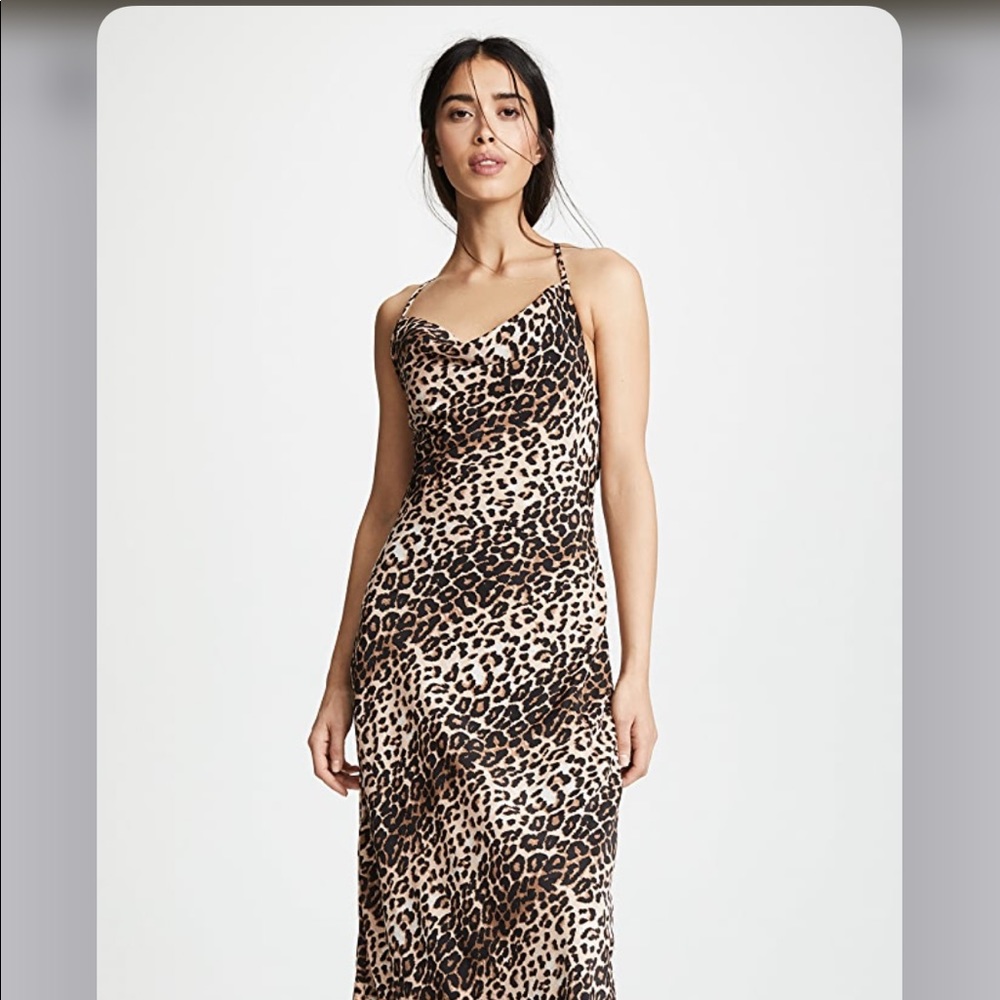 NWT Casa Estrella Candace Dress Animal Print